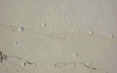 All You Need to Know About Concrete Blisters